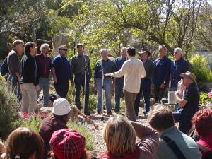 VoiceMale at Maylands