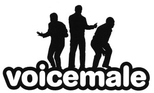 VoiceMale logo-dark